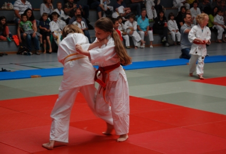 Vereinsrandori 2014